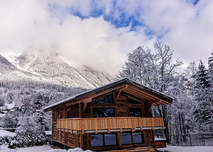 Des Amis Appt 1 - Year Chamonix