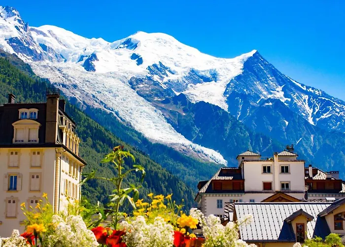 Des Amis Appt 1 - Year